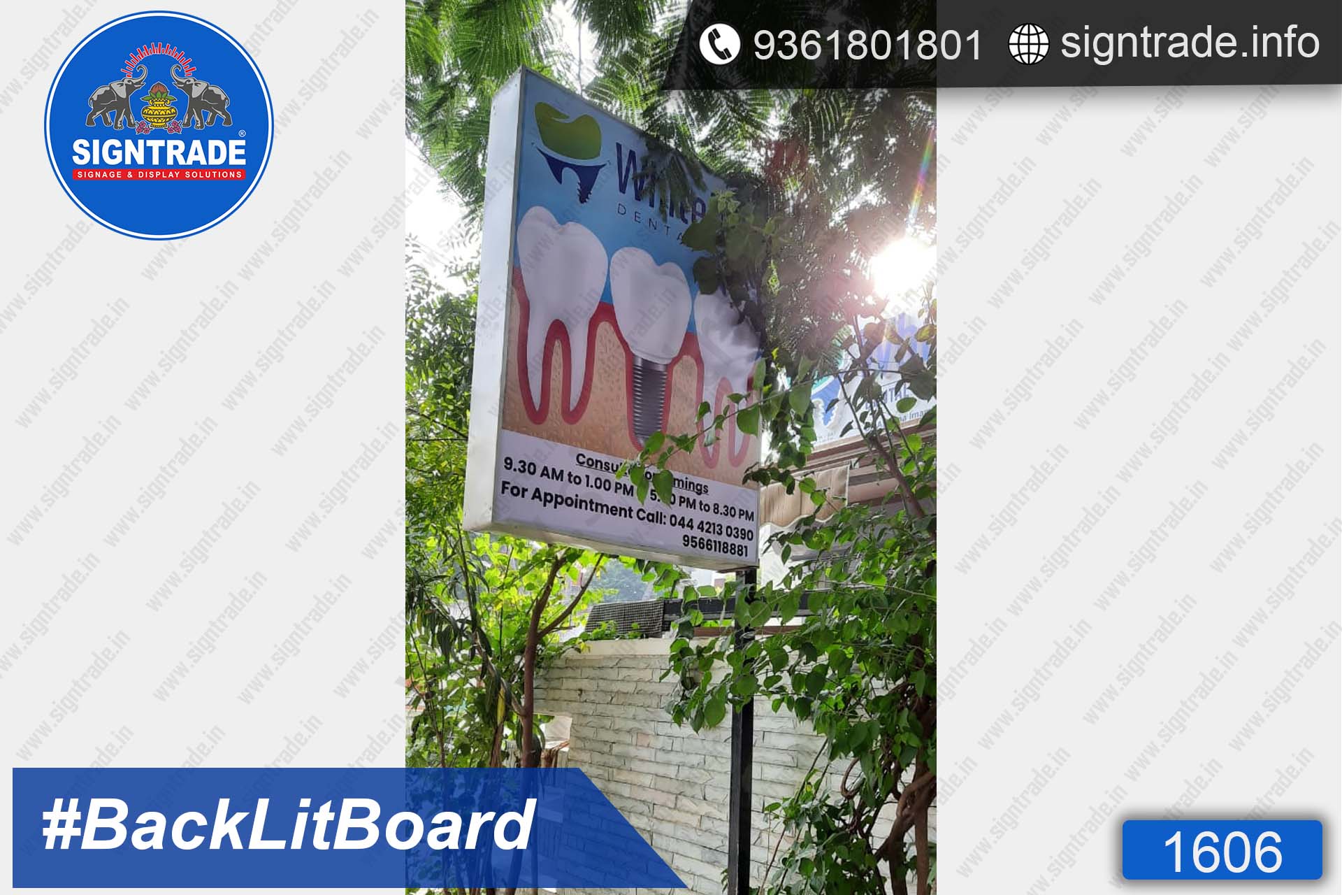 Whiteline Dental Care, Anna nagar, Chennai - SIGNTRADE - Digital Flex Printing Service - Backlit Flex Board Manufacturers in Chennai