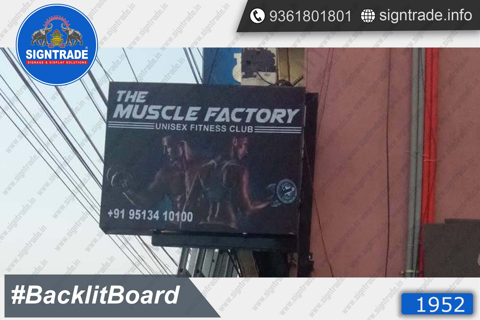 the muscle factory backlit board